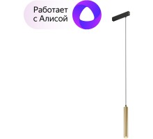 Трековый светильник SMART SPOT DK8008-BG Denkirs