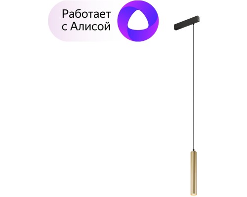 Трековый светильник SMART SPOT DK8008-BG Denkirs