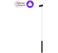 Трековый светильник Smart DK8008-BK Denkirs