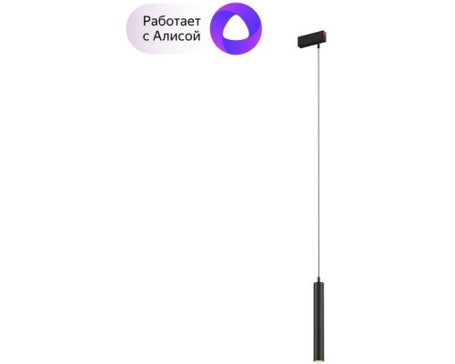 Трековый светильник Smart DK8008-BK Denkirs