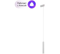 Трековый светильник Smart DK8008-WH Denkirs