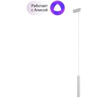 Трековый светильник Smart DK8008-WH Denkirs