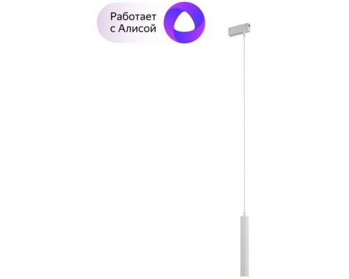 Трековый светильник Smart DK8008-WH Denkirs