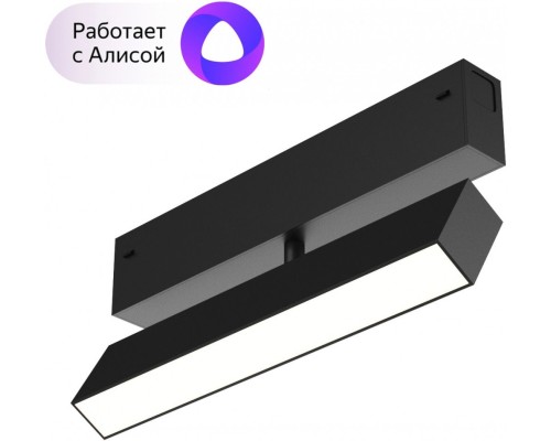 Трековый светильник DK8009-BK Denkirs
