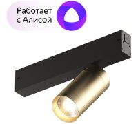 Трековый светильник SMART SPOT DK8010-BG Denkirs