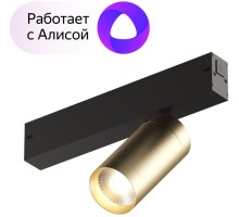 Трековый светильник SMART SPOT DK8010-BG Denkirs