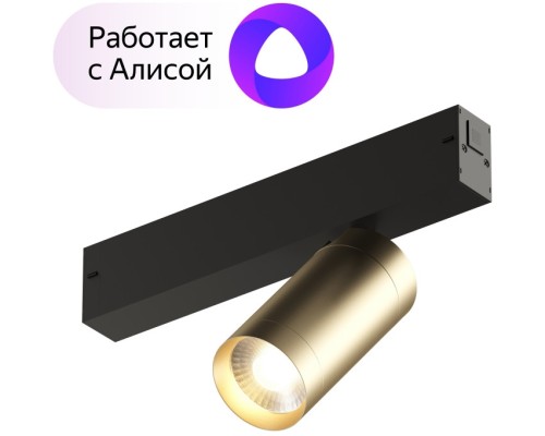 Трековый светильник SMART SPOT DK8010-BG Denkirs