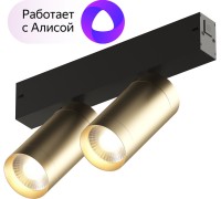 Трековый светильник SMART SPOT DK8012-BG Denkirs