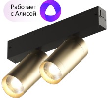 Трековый светильник SMART SPOT DK8012-BG Denkirs