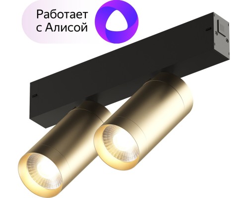 Трековый светильник SMART SPOT DK8012-BG Denkirs