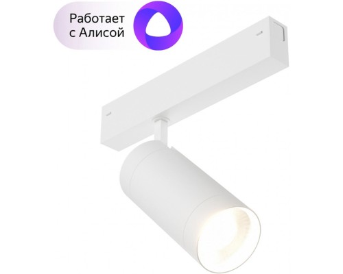 Трековый светильник Smart DK8020-WH Denkirs