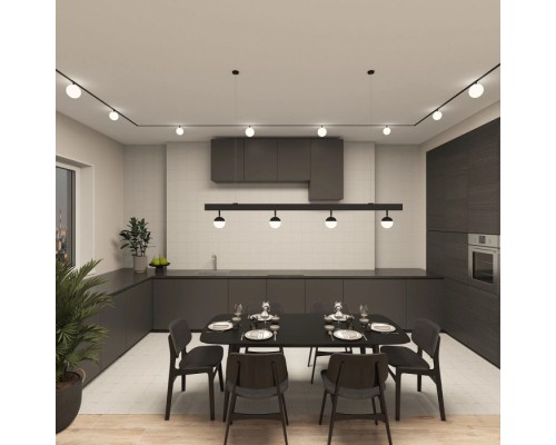 Трековый светильник SMART MOON DK8050-BK Denkirs