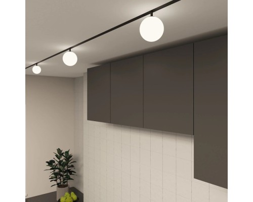 Трековый светильник SMART MOON DK8050-BK Denkirs