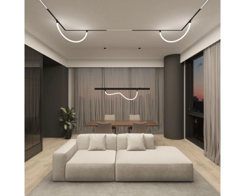 Трековый светильник SMART RAY DK8060-BK Denkirs