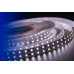 Светодиодная лента LUX DSG5120-24-NW-33 DesignLed