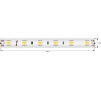 Светодиодная лента LUX DSG560-24-NW-65 DesignLed