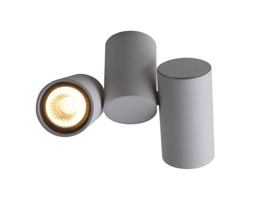 Спот Gavroche 1354/03 PL-2 Divinare