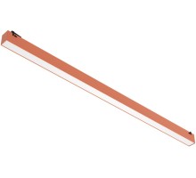 Трековый светильник Decorato 2476/34 SP-30 Divinare