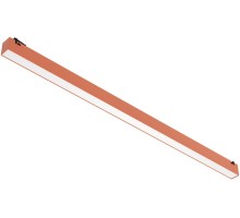 Трековый светильник Decorato 2477/34 SP-30 Divinare