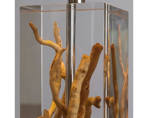 Настольная лампа Selva 3200/09 TL-1 Divinare