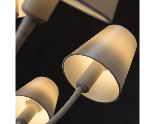 Потолочная люстра Bucaneve 7302/03 PL-12 Divinare