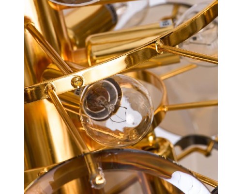 Подвесная люстра Chloe 7566/01 SP-8 Divinare