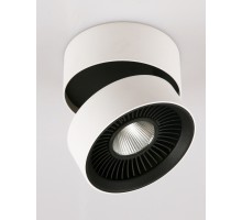 Настенно-потолочный светильник Dl18409 DL18409/11WW-R Donolux