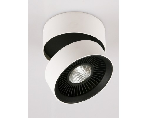 Настенно-потолочный светильник Dl18409 DL18409/11WW-R Donolux