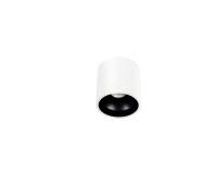 Потолочный светильник Dl18416 DL18416/11WW-R White/Black Donolux