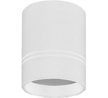 Точечный светильник Barell DL18481/WW-White R Donolux