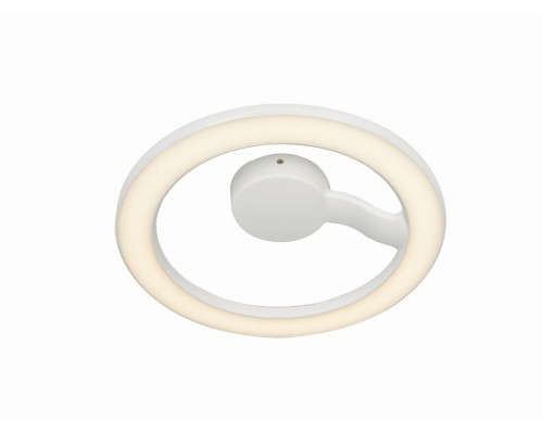 Настенно-потолочный светильник Dl18550 DL18550/01WW D300 Donolux