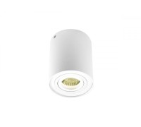 Точечный светильник  DL18613/01WW- R White Donolux