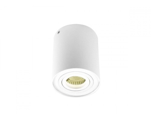 Точечный светильник  DL18613/01WW- R White Donolux