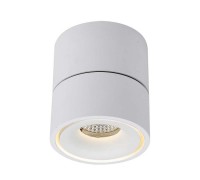 Потолочный светильник DL18617 DL18617/01WW-R White Dim Donolux