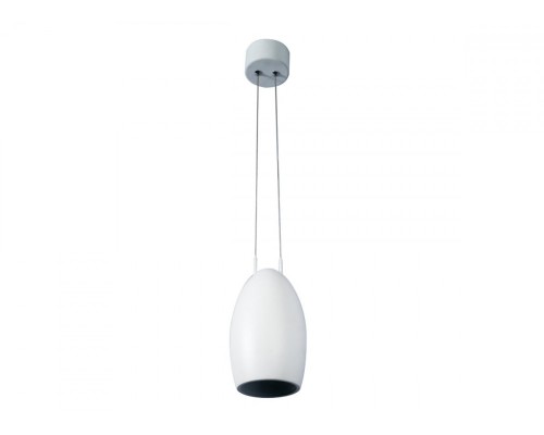 Подвесной светильник  DL18691/WW-S White Donolux