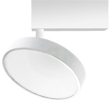 Трековый светильник Luna DL18791WW24WM Donolux