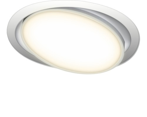 Точечный светильник Luna DL18813/23W White R Donolux