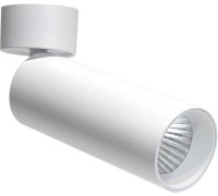 Спот Rollo DL18895R20W1W ST Donolux