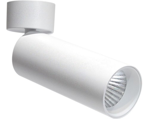 Спот Rollo DL18895R20W1W ST Donolux