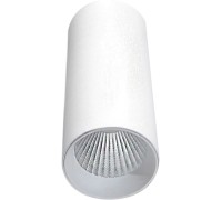 Точечный светильник Rollo DL18895R30N1W Donolux