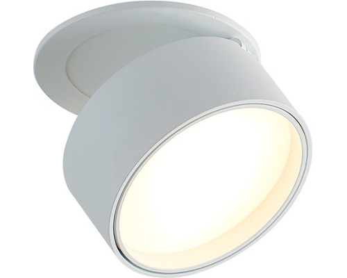 Точечный светильник Bloom DL18959R12W1W Donolux