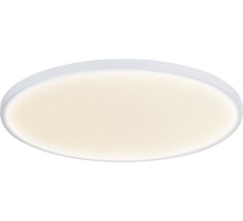 Потолочный светильник Disco DL20171R24NW1W Donolux