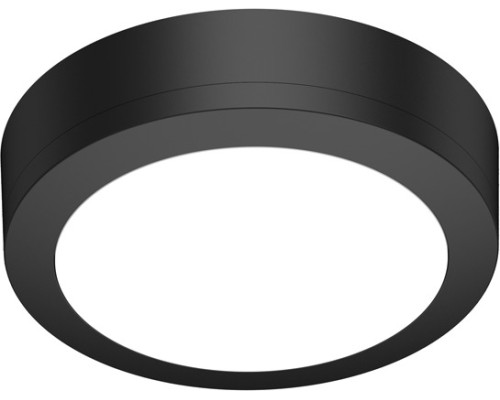 Потолочный светильник уличный Barcelona DL20451WNC12B R Donolux