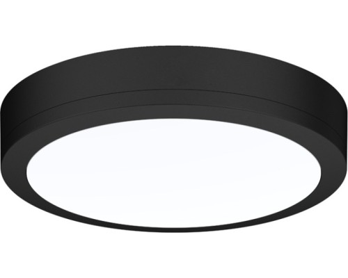 Потолочный светильник уличный Barcelona DL20451WNC25B R Donolux