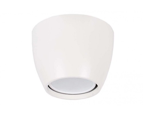 Настенно-потолочный светильник N1597 N1597-White Donolux