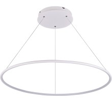 Подвесной светильник Nimbo S111024/1R 48W White In Donolux