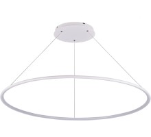 Подвесной светильник Nimbo S111024/1R 60W White In Donolux