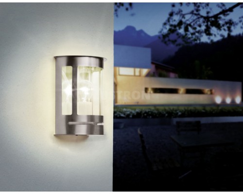 Настенный фонарь уличный Daril 30173 Eglo