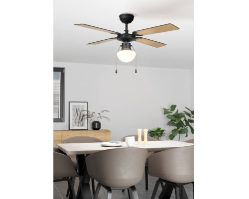 Потолочная люстра Fortaleza 35122 Eglo