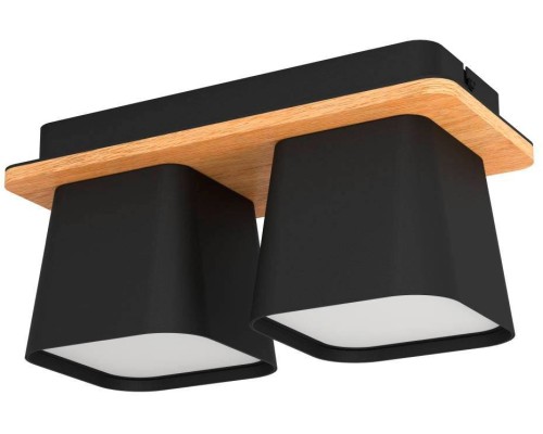 Потолочный светильник RUSCIO 390007 Eglo